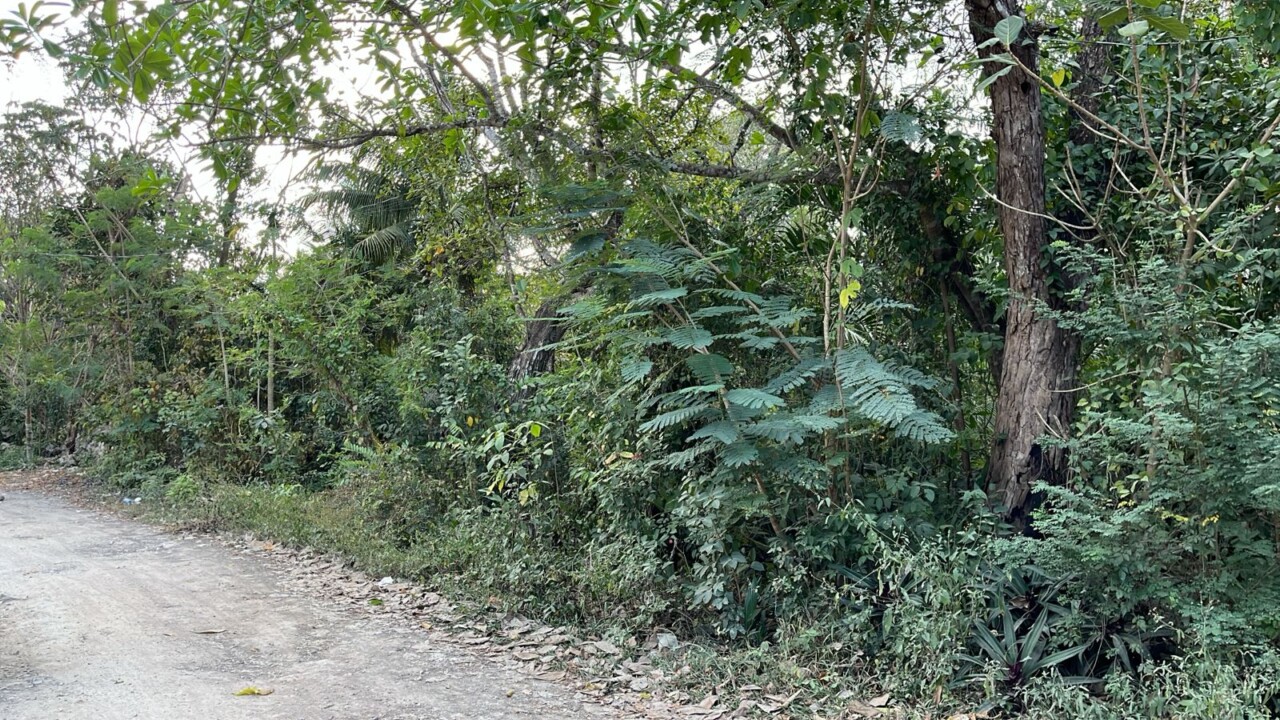 Hallan tres ejecutados en colonias Las Pencas y Avante en Cancún; dos de las víctimas estaban maniatadas y presentan impactos de bala.