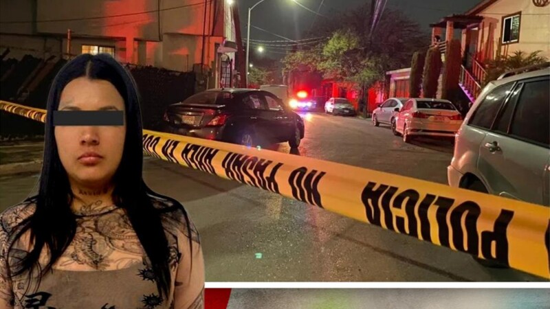 Mató a su novio a balazos por una infidelidad