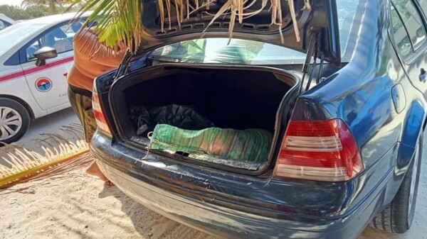 Asegura la Marina 37 kilos de caracol blanco en Cozumel