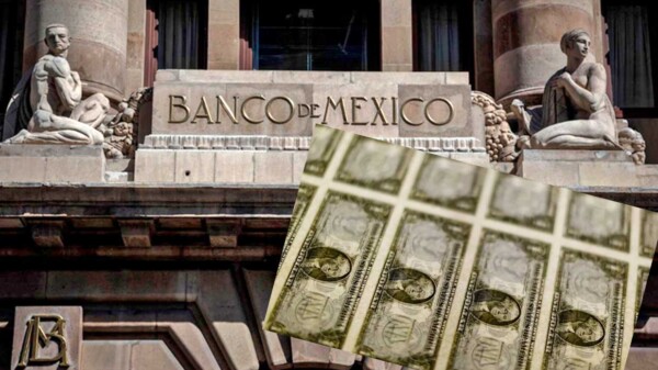 Cae el dólar hasta los 16.66 pesos por unidad