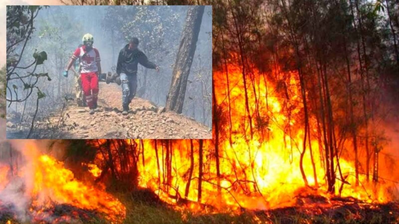 Fallecen tres brigadistas en incendio forestal del Edomex