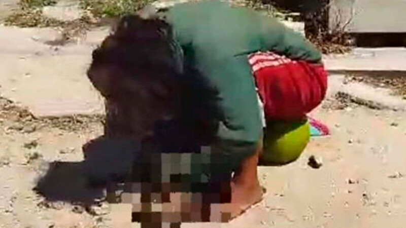 Sorprenden a mujer devorando un gato en vía pública de Yucatán