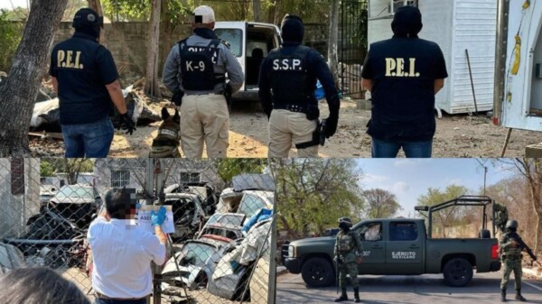 Aseguran más de 360 kilos de droga en cuatro cateos en Mérida