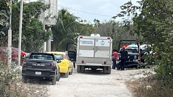 Cae una barda sobre una persona y muere