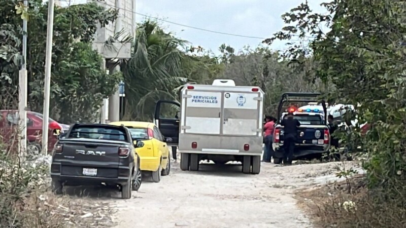 Cae una barda sobre una persona y muere