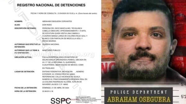 Otra de un juez, ordena liberar a hermano de ‘El Mencho’