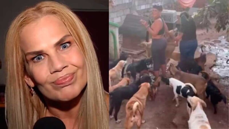 Niurka reacciona contra quienes aseguran que sacrifica perros
