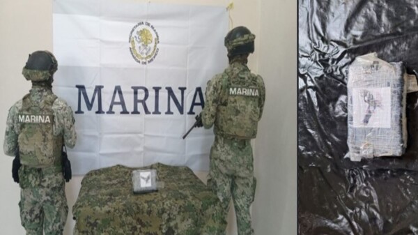 Decomisa la Marina recales de droga en Mahahual y Playa del Carmen