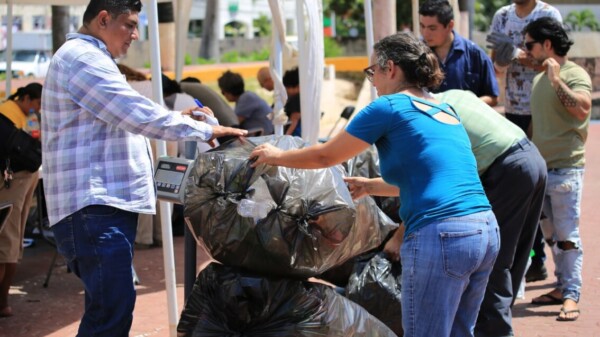 Entrega tus reciclables, acude al punto de acopio más cercano