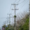 Inicia cableado subterráneo en el bulevar Colosio de Cancún