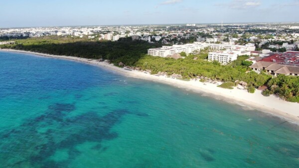 Conoce el Semáforo de sargazo para este fin de semana