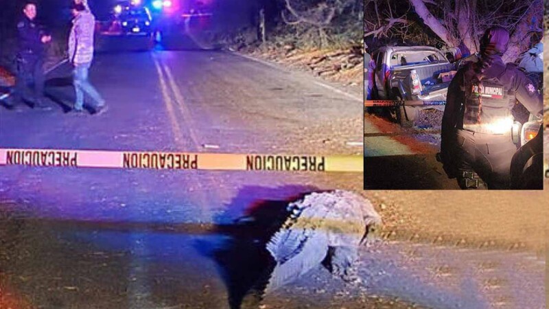 Por esquivar a un cocodrilo, tripulantes de camioneta en Sinaloa chocan y mueren 