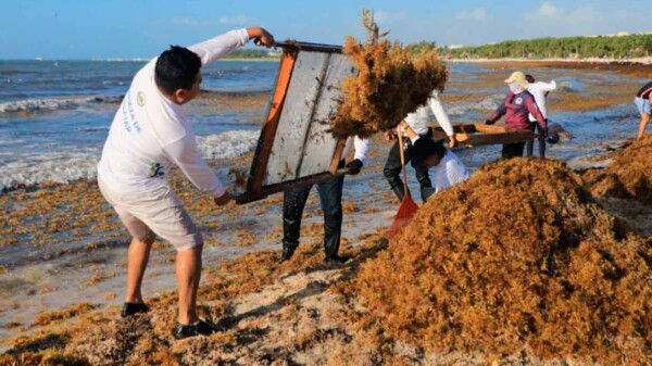 Apoya Solidaridad proyecto para reducir contaminación