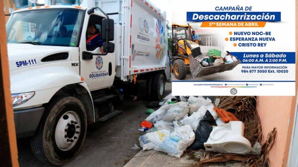 Conoce el calendario de campaña de descacharrización