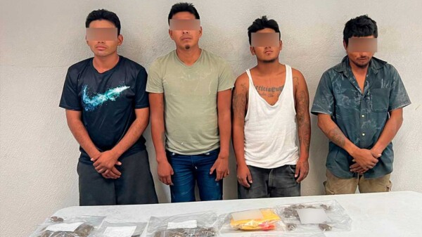 Caen cuatro presuntos narcomenudistas en Playa del Carmen
