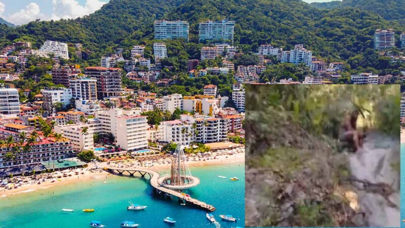 Extranjero "perdido" por años en la selva resultó estar en Puerto Vallarta