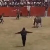 Cinco personas son embestidas por toro en fiestas patronales de Veracruz