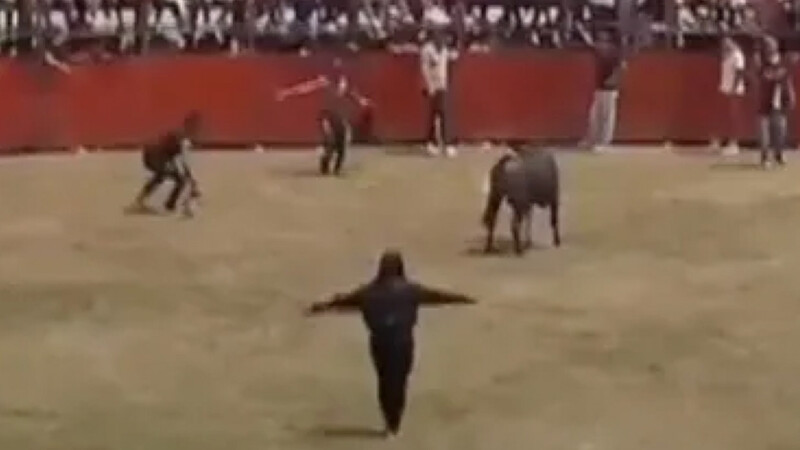 Cinco personas son embestidas por toro en fiestas patronales de Veracruz