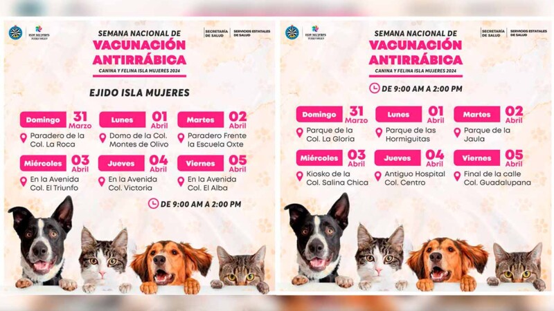 Inicia en Isla Mujeres semana nacional de vacunación antirrábica canina y felina