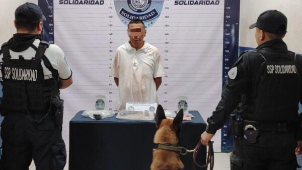 Playa del Carmen: Detienen a sujeto con armas y drogas en la Quinta Avenida