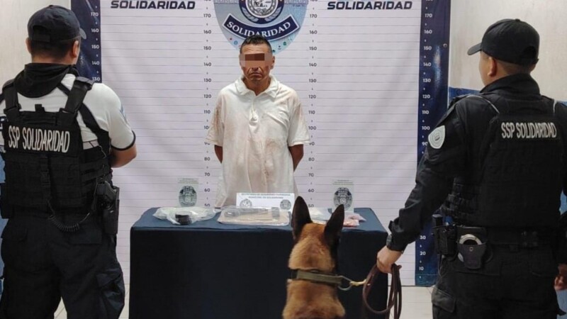 Playa del Carmen: Detienen a sujeto con armas y drogas en la Quinta Avenida