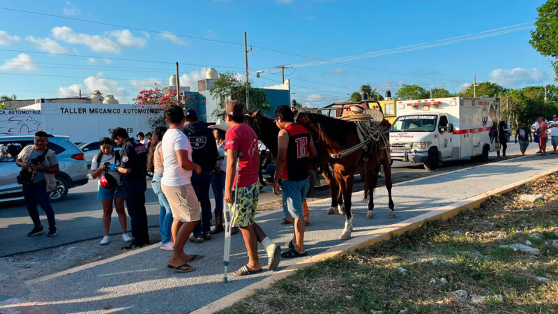 Caballo ocasiona accidente de tránsito en Av. 20 de Noviembre de Cancún