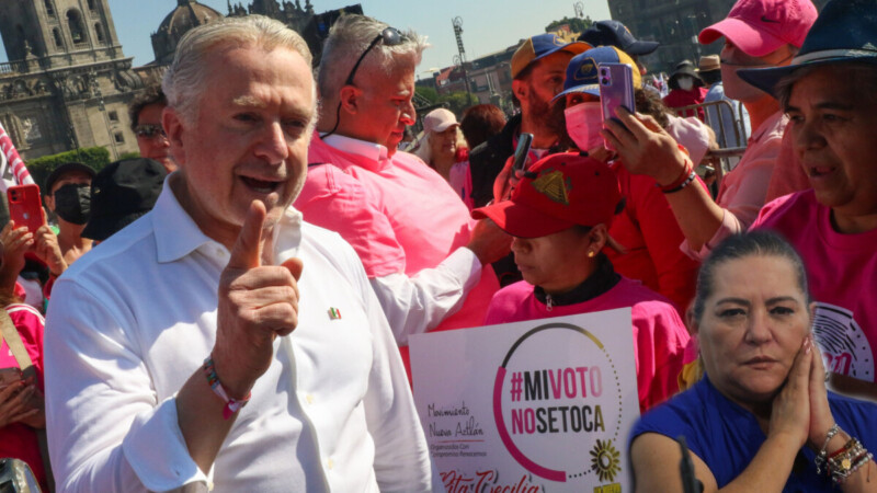 Pide Taddei a marea rosa no usar colores del INE