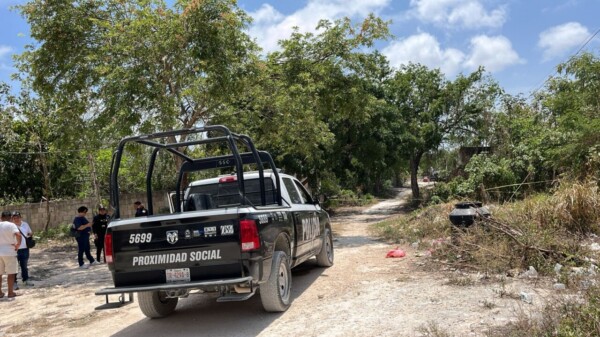 Hallan cuerpo en un área verde de El Pedregal en Cancún.