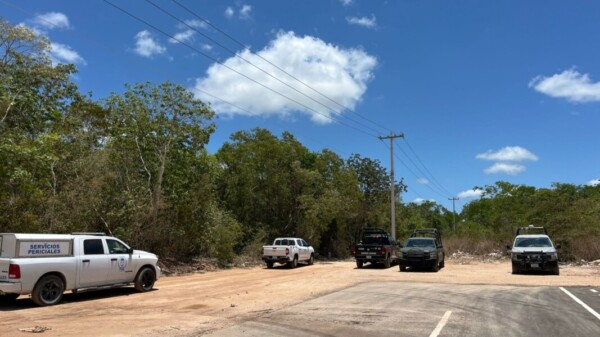 Localizan un cuerpo en operativo de búsqueda en Cielo Nuevo
