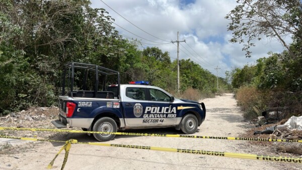 Descubren restos humanos en la SM-254 de Cancún