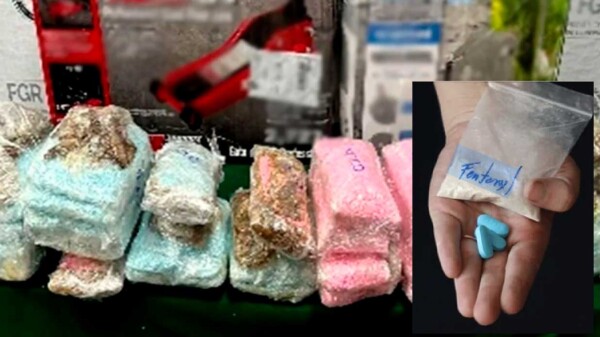 Asegura la FGR en Jalisco 320 pastillas de fentanilo 