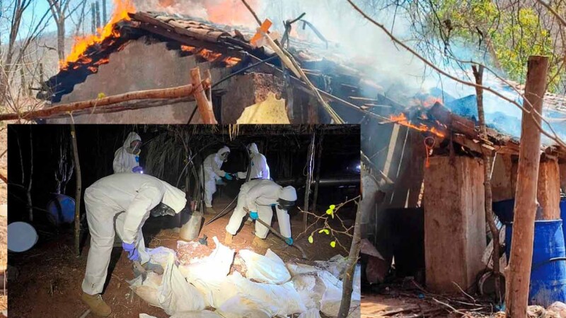 Incauta SEMAR 6 toneladas de metanfetamina y destruye 8 "narcolaboratorios" en Sinaloa