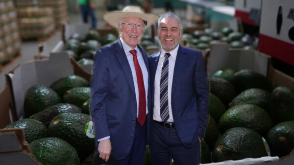 Logran acuerdo para reactivar exportación de aguacate a EU
