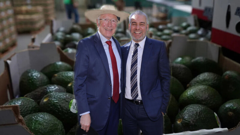 Logran acuerdo para reactivar exportación de aguacate a EU
