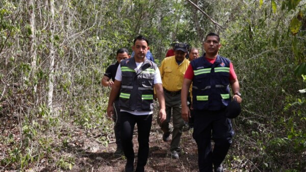 Trabajan bomberos en atención a incendios forestales en Cancún