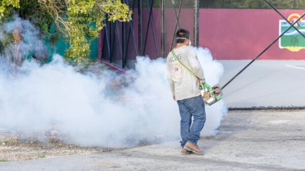 Diego Castañón lanza estrategia de control a enfermedades transmitidas por vector