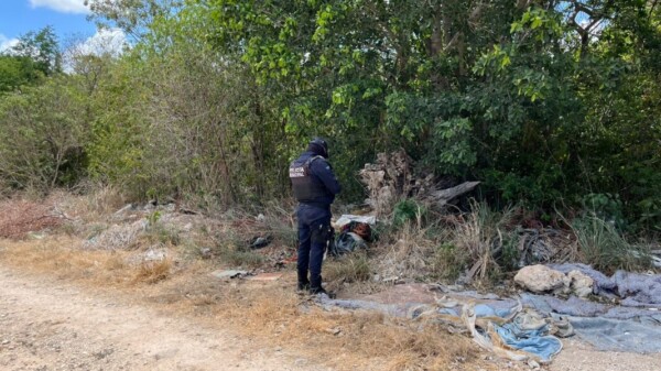 Encuentran restos humanos en la SM-201 de Cancún
