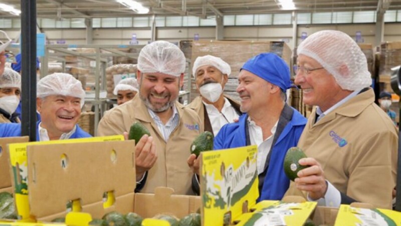 ¿Para qué tanta prepotencia? en freno a exportación de aguacate
