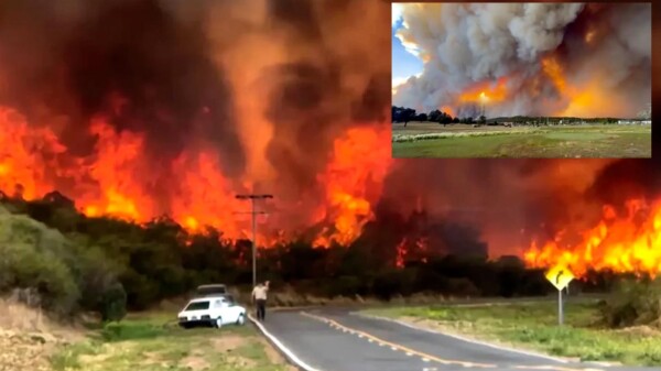 Evacuan pueblo en Nuevo México por Incendio forestal