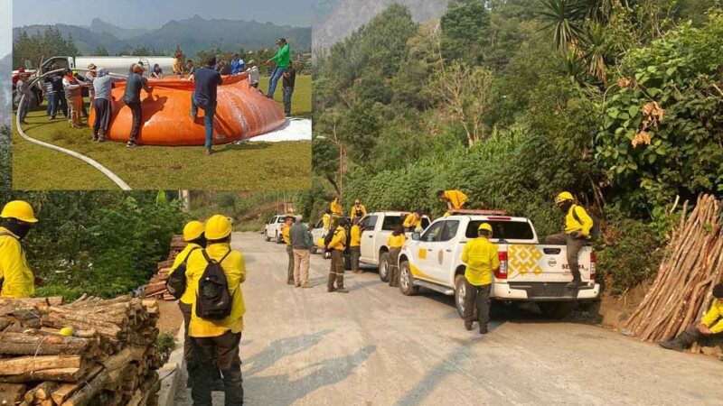 Incendios forestales consumen diversas zonas en Veracruz