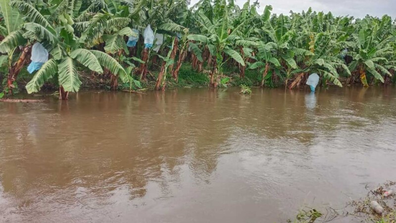 Piden campesinos en Chiapas estado de emergencia por lluvias