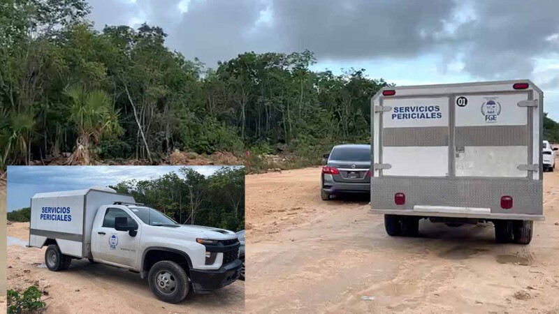 Localizan restos humanos en Polígono Sur de Cancún