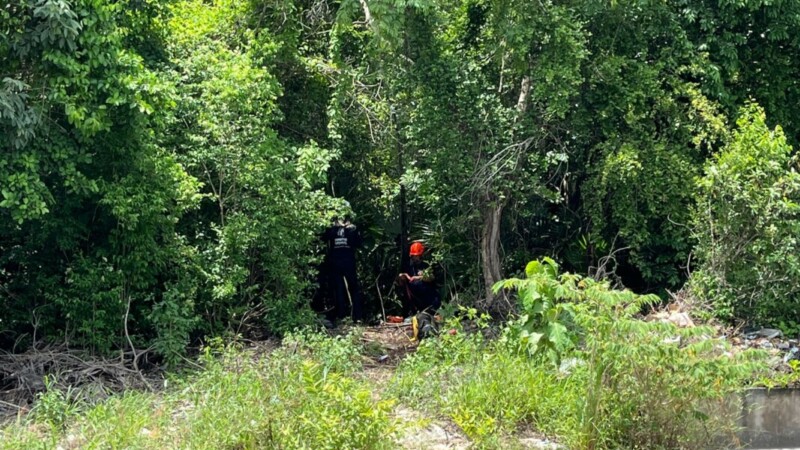 Hallan restos humanos en área verde en la SM-251 de Cancún