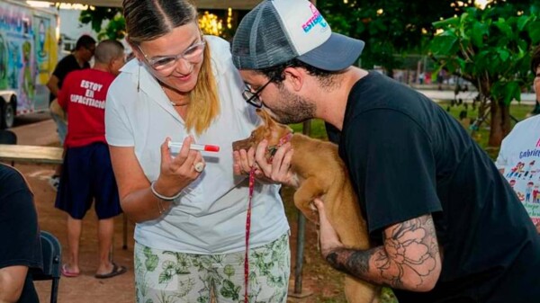 El bienestar animal será parte esencial de la nueva forma de gobernar en Mérida: Cecilia Patrón