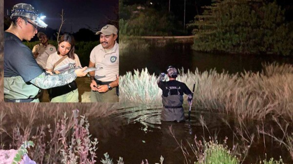 Capturan cocodrilo en el Parque Hundido de Mérida tras alerta viral