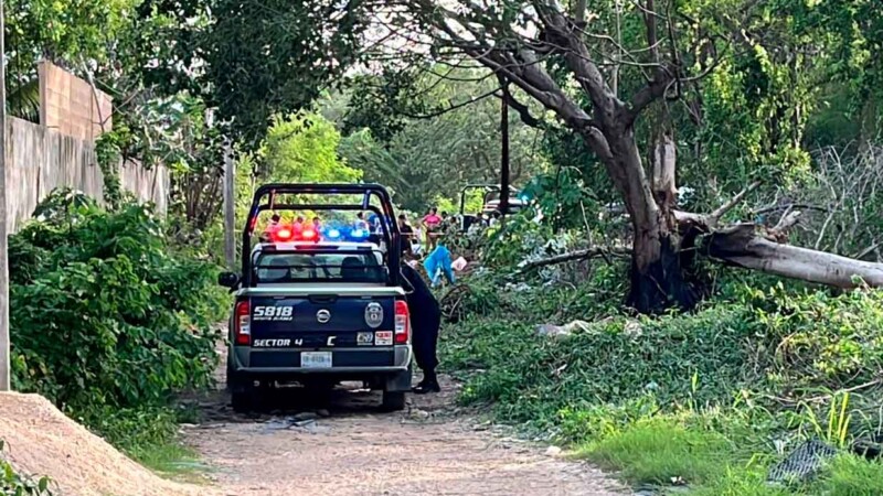 Encuentran restos óseos de una persona en colonia de Cancún