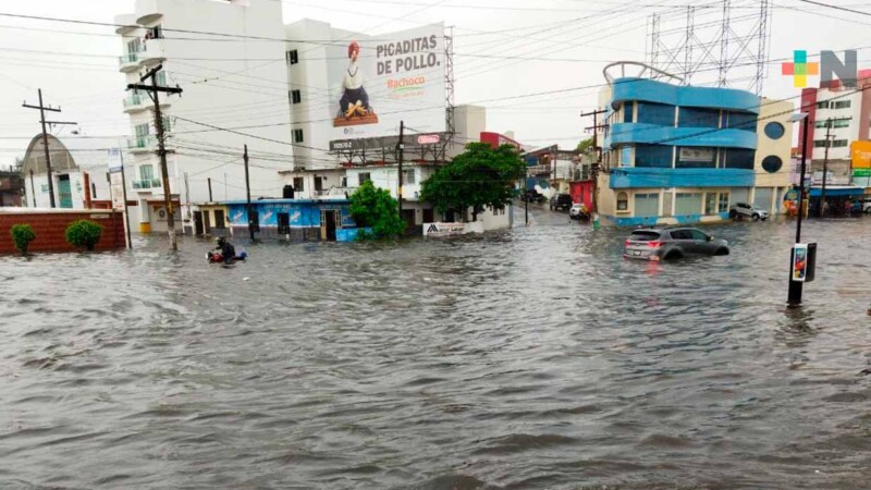Onda tropical 8 convierte municipio de Veracruz en rio