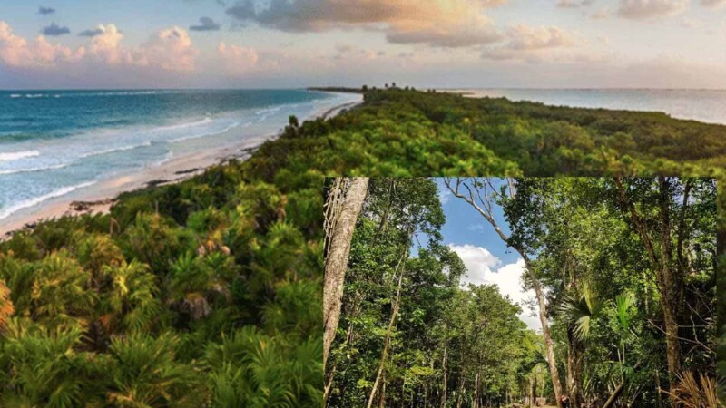 Busca Semarnat crear área natural protegida en Quintana Roo