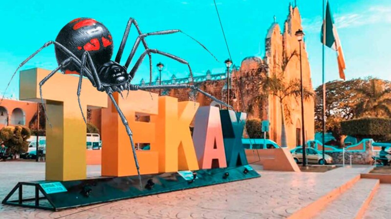 Locatarios piden fumigación de mercado de Tekax por proliferación de arañas