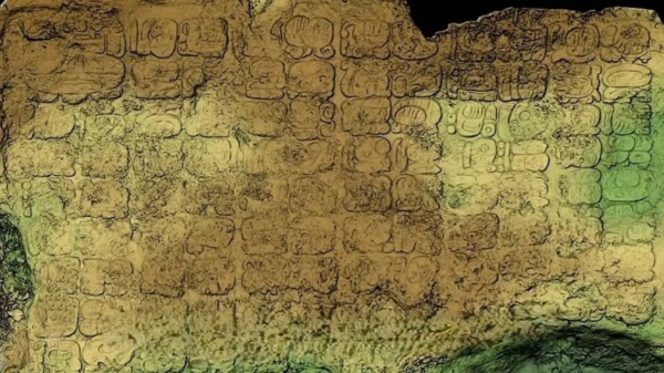 Notable hallazgo de estela en Cobá: INAH